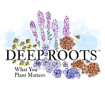 Deep Roots KC logo