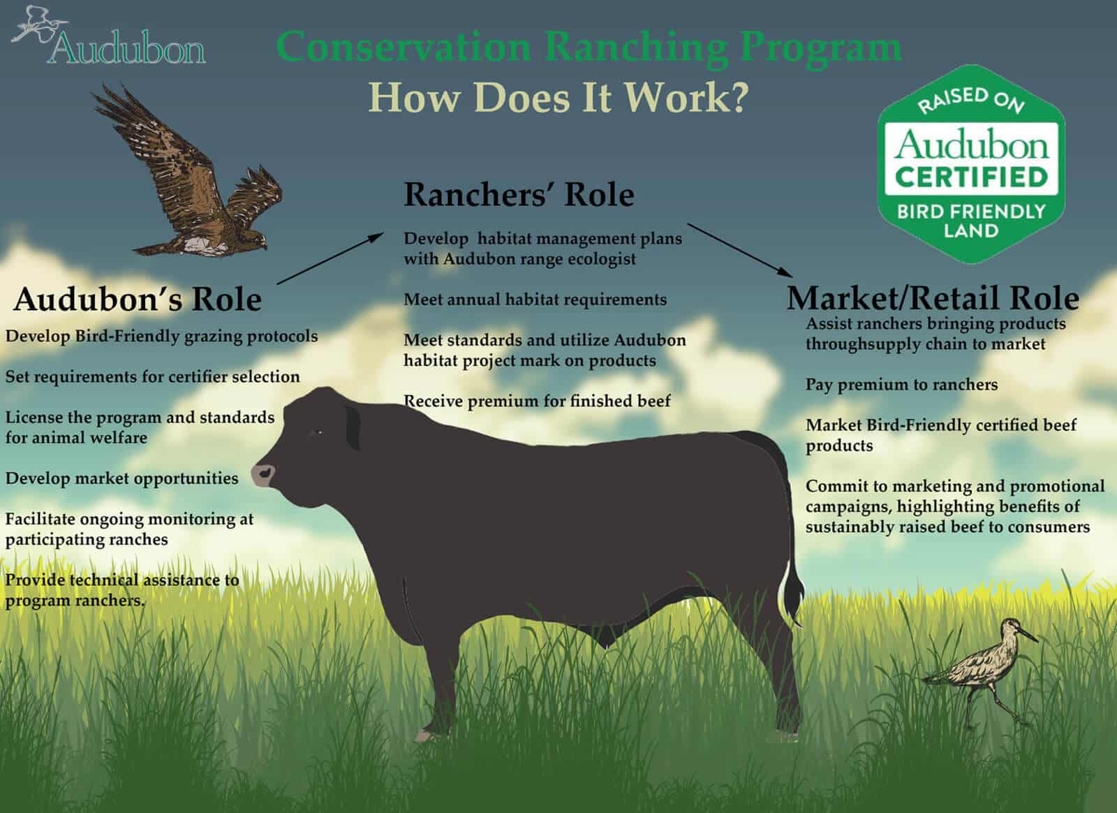 How Audubon's Conservation Ranching Program works.